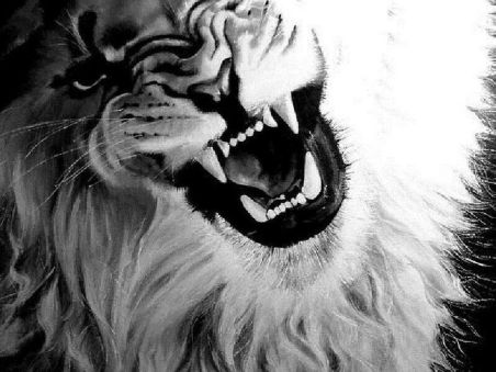 Lion-Roaring-Black-And-White-07