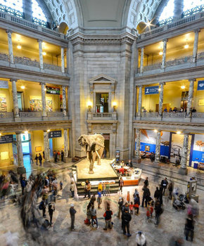ray.payys-natural-history-museum-atrium-henry-the-elephantmydccool-smithsonian